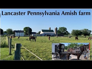 Amish Horse Farm and Horse Buggy Rides Lancaster Pa Amish Country