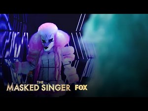 Meet The Contestants | Season 1 | THE MASKED SINGER
