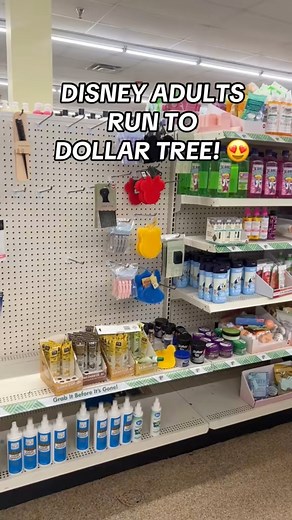Disney Adults! Run to Dollar Tree!! 😍😍 #disney #dollartree | Dollar Tree Dollie
