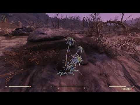 Fallout76 Thistle Locations