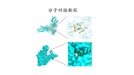 Autodock 分子对接教程--01.安装软件