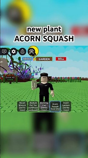 new plant acorn squash in grow a garden