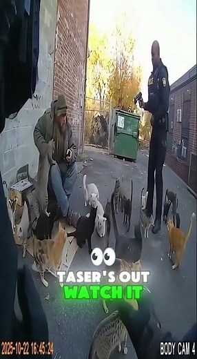 CATS PROTECT THEIR OWNER FROM BEING ARRESTED #cat #oso #sora2 #arrest #police #camera