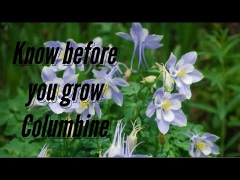 Know before you grow -Columbine