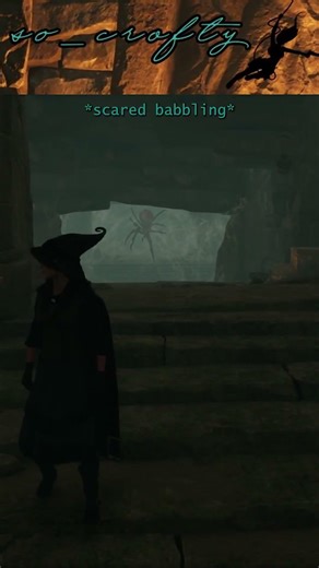 That is a BIG nope! 😟🕷️