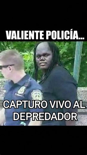 predator 🏹 #humor #memes #funny