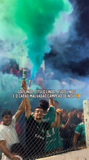 Caju_tv on Instagram: "Gol lindo, título lindo ,tudo lindo ! É o malvadão campeão de novo 💚🤍🏆 #futeboldevarzea #futebol #futebolamadorbh"