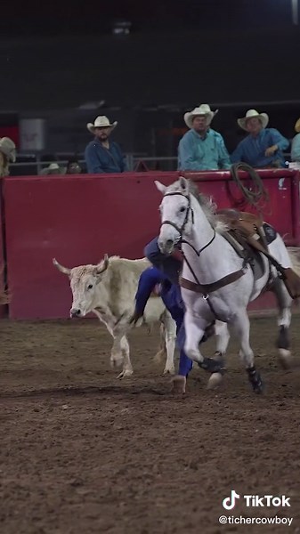 It happens sometimes, and its OK... Performed by professionals, medics on site, do not attempt #tichercowboy #ticherenjoyslife #cowboys #western #itsabouttogetwestern #fail #tiedownroping #broncrider