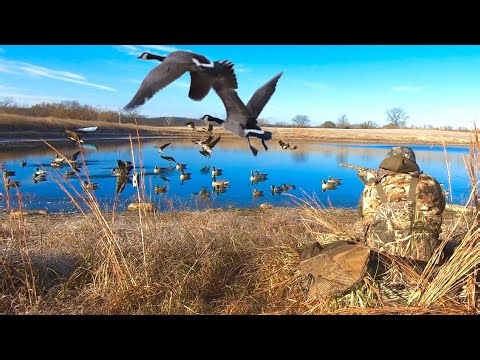 Geese finished close but I messed up | Missouri duck and goose hunting