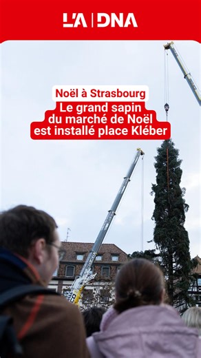 41K views · 480 reactions | Qu’il est impressionnant avec ses 30...