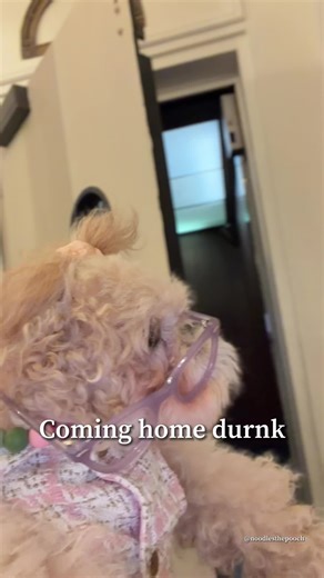 Late Wake-Up Call: The Alarm Mishap