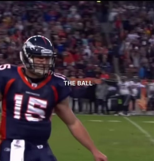 Explore the Secrets of Swamp Kings