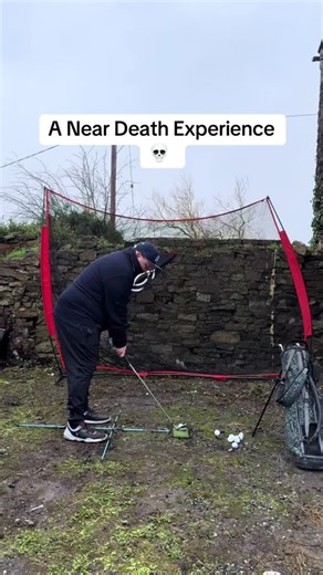 Every Share Plants a Tree: Join the Movement