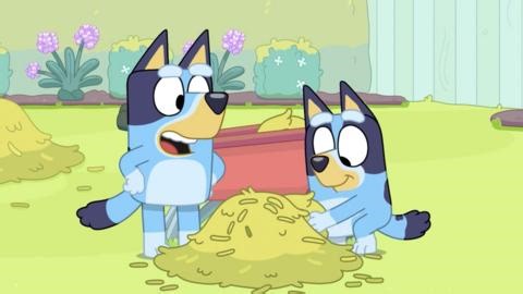 Mini Bluey - Clips from Bluey Series 3 - CBeebies