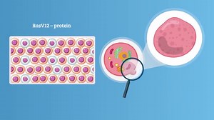 Cancer: Role of autophagy in eliminating cancer cells