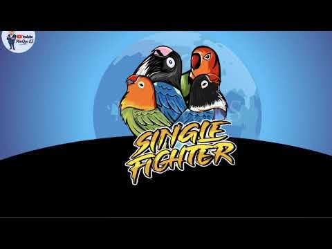 KMC CHANNEL's broadcast