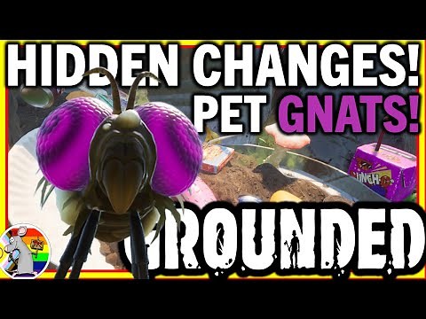 GROUNDED PET GNATS! Rotton Meat Slurry! Hidden Update Changes!