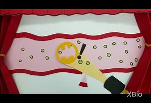 What are Blood Cells?