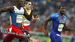 Livsstil: Kæmp æblepulver meldug - økologisk sprøjt mod meldug på æbletræet | 2025