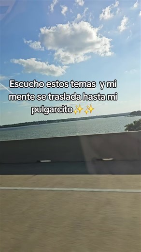 Mentira no es #503🇸🇻 #fypシ #pulgarcitodeamerica #musicasalvadoreña