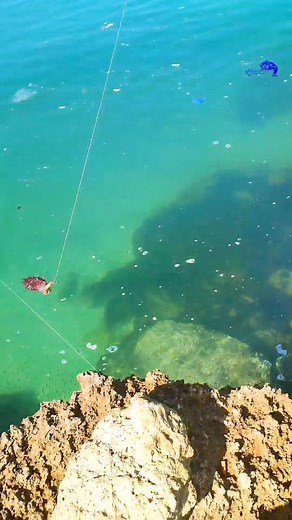 AYouB/Fishing on Reels