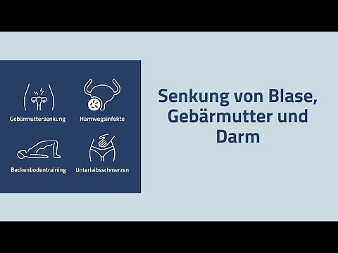 Beckenbodenzentrum Vorträge 2023 - Senkung von Blase, Gebärmutter und Darm