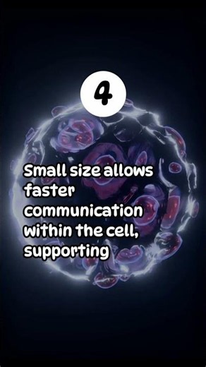 WHY ARE THE MOST CELLS SMALL?
