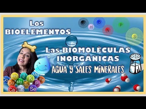 Bioelementos y biomoléculas inorgánicas. 2º de Bachiller - Bio[ESO]sfera