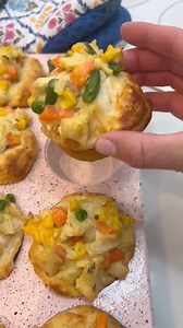 109K views · 1.2K reactions | Mini Chicken Pot Pies! SAVE this easy Fall Recipe - my family LOVES this and very fast and easy to make! | At Home With Shannon | Facebook