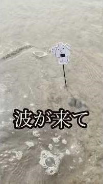 茨城県大洗町に行って潮干狩りをするぞ！#潮干狩り