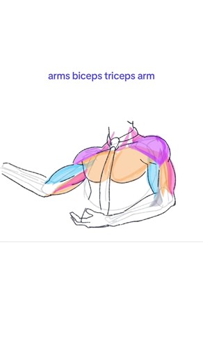 #arm #anatomy #drawing #muscle #pose