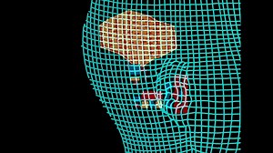 Bionic Woman - Season 1