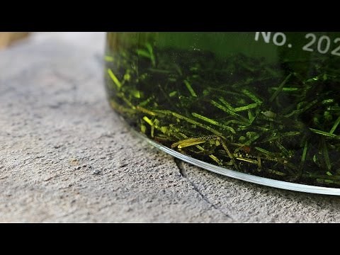 Precious Metal Refining & Recovery, Episode 6: Gold From Pins