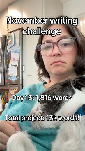 November writing challenge day 13 and my project hit exactly 13k words! #nanowrimo #authorlife
