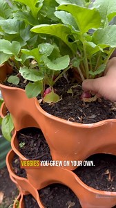 15K views · 155 reactions | The Most Advanced Vertical Gardening...