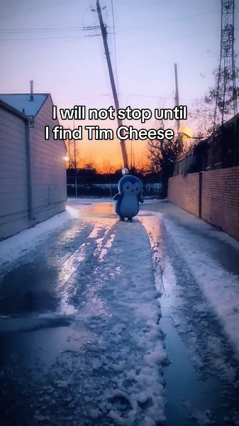 Unraveling the Mystery of Tim Cheese