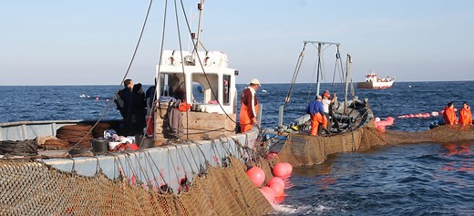 Almadraba: 3000 years of traditional tuna fishing - Atlantic Culturescape