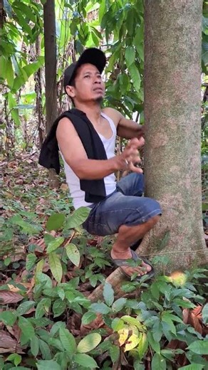 masteran burung viral lucu bikin ngakak hiburan warga+62 funny videos #funny #shorts #viral