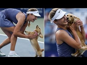 Tennis star Anna Kalinskaya’s dog steals show during DC Open run to finals