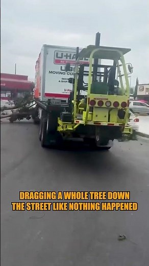 When You Take "Green Logistics" a Little Too Literally 😂