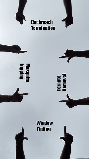 In Complete Pest Control - we've got you covered! 💨🦟 With years of experience, our team handles every job with care and expertise. No job too big, no task too small - just reliable solutions you can trust. Get in touch today! #CompletePestControl #PapuaNewGuinea | Complete Pest Control