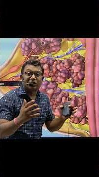 Internal Structure of Human Breast | Human Reproduction Class 12th | BIOLOGY | NEET | Dr. D. Kumar