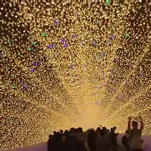 Bucket List on Reels