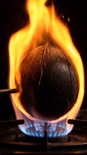 Burn Coconut Cutting ASMR 🔥🥥 | Satisfying Shell Break