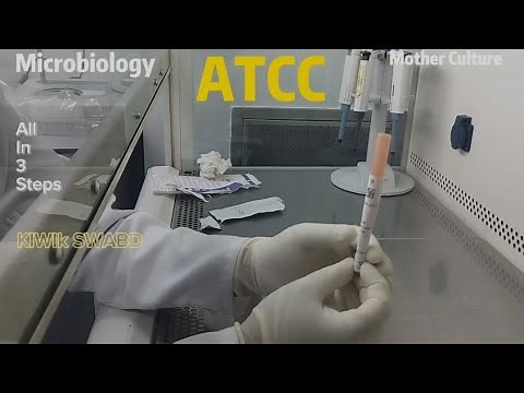 ATCC Culture KWIK Stick