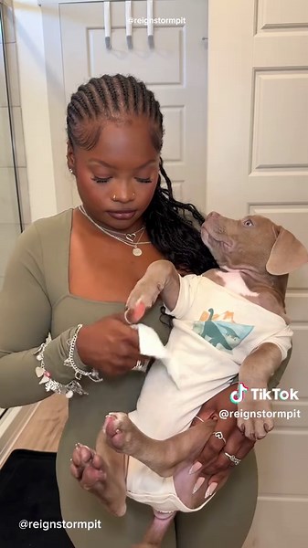 Puppy Morning Routine: Eis Storm's Adorable Start