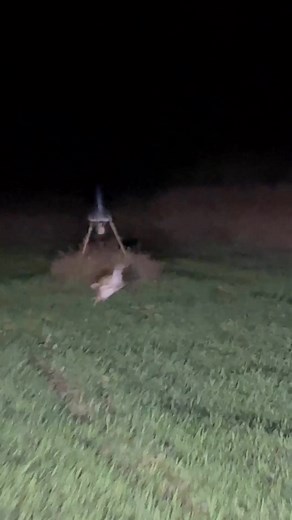 162K views · 1.1K reactions | Should have bought the V model Slow aaaa 6.2l can’t catch a deer | Wyatt Pearson | Facebook