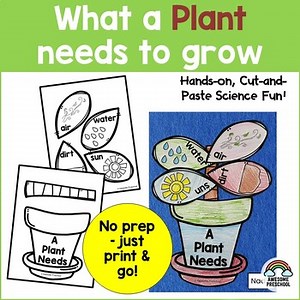 What a Plant Needs to Grow Craft Preschool Science Cut and Paste Activity