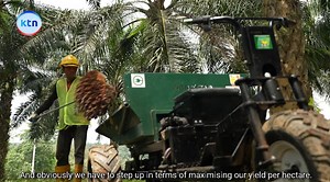 The Future of Malaysian Palm Oil 🌱💡 #MalaysianPalmOil is evolving with innovation and #sustainability at its core — paving the way for a greener, more resilient future in food, trade, and beyond. #MPOC | Malaysian Palm Oil Council
