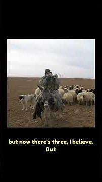 How Brutal is TACP Training? Inside the Toughest Phases